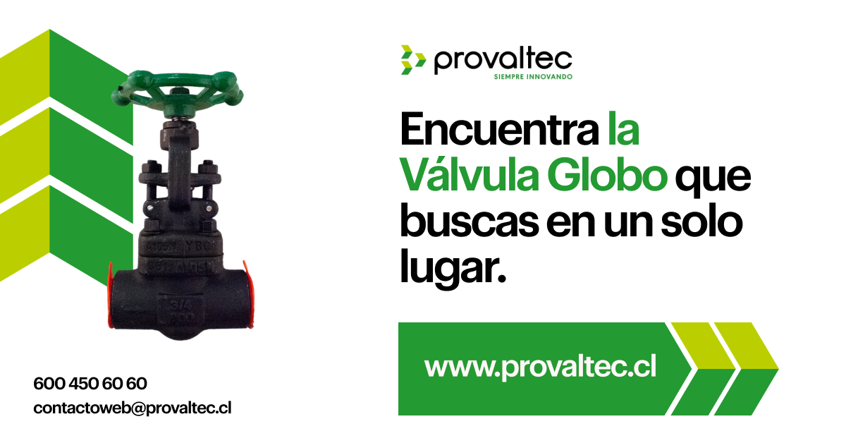 Guía Completa sobre las Válvulas de Globo para Agua