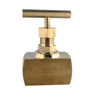 Válvula de aguja PTV 6.000PSI SS316 NPT, fabricada en acero inoxidable, diseñada para soportar altas presiones en sistemas industriales