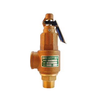 Válvula de alivio Hants con cuerpo y trim de bronce, 10 BAR NPT, diseñada para controlar la presión en sistemas industriales
