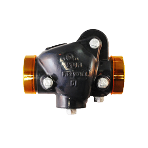 Válvula de retención ranurada Firewall UL/FM, clasificada para 300 PSI, ideal para aplicaciones industriales con control de flujo y alta seguridad.