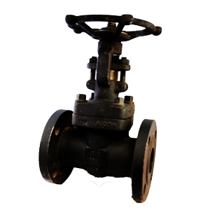 Válvula de compuerta Dierste A105/Trim 8, brida #150, ideal para aplicaciones industriales con control de flujo y alta resistencia