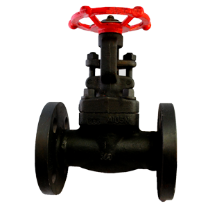 Válvula de compuerta Dierste A105/Trim 8, brida #300, diseñada para aplicaciones industriales de alta presión y control de flujo