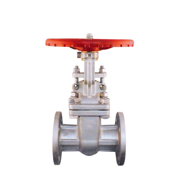 Válvula de compuerta Dierste SS304/Trim 2, brida #150, diseñada para aplicaciones industriales con control de flujo y resistencia a la corrosión