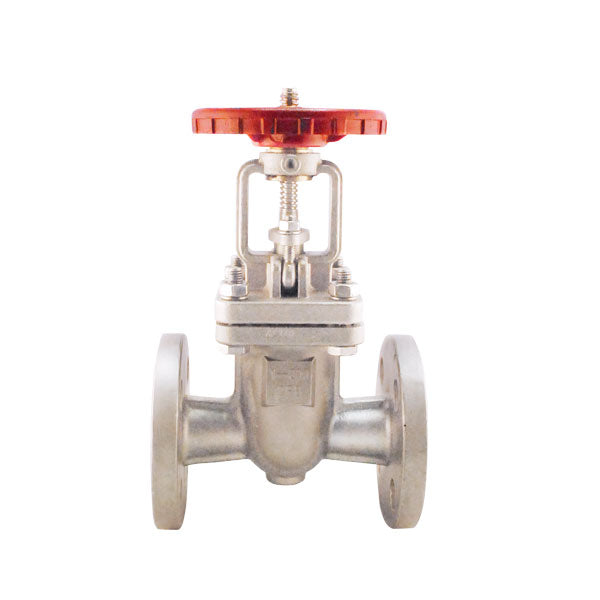 Válvula de compuerta Dierste SS304/Trim 2, brida #300, ideal para aplicaciones industriales con control de flujo y resistencia a la corrosión