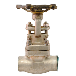 Válvula de compuerta Dierste SS316/SS316, clase #800 NPT, ideal para aplicaciones industriales de alta presión y resistencia a la corrosión.