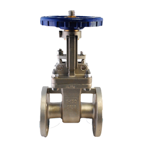 Válvula de compuerta Dierste SS316/Trim 10, brida #150, ideal para aplicaciones industriales con alta resistencia a la corrosión y control de flujo