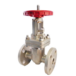 Válvula de compuerta Dierste SS316/Trim 10, brida #300, diseñada para aplicaciones industriales con alta resistencia a la corrosión y control de flujo