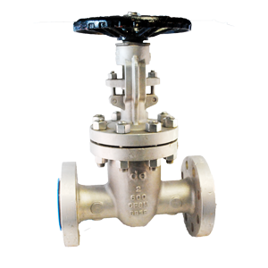 Válvula de compuerta Dierste SS316/Trim 12, brida #600, ideal para aplicaciones industriales de alta presión y resistencia a la corrosión