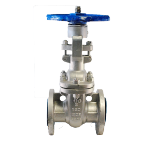 Válvula de compuerta Dierste WCB/Trim 8, brida #150, diseñada para aplicaciones industriales con control de flujo y alta durabilidad