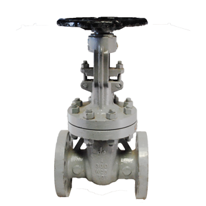 Válvula de compuerta Dierste WCB/Trim 8, brida #300, diseñada para aplicaciones industriales de alta presión con control de flujo y resistencia