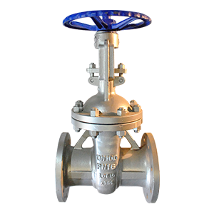 Válvula de compuerta Dierste WCB/Trim 8, brida PN16, ideal para aplicaciones industriales con control de flujo y alta resistencia.