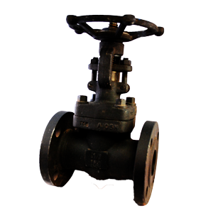 Válvula de compuerta PTV A105/Trim 8, brida #150, ideal para aplicaciones industriales con control de flujo y alta resistencia