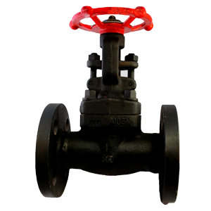 Válvula de compuerta PTV A105/Trim 8, brida #300, diseñada para aplicaciones industriales de alta presión con control de flujo y resistencia