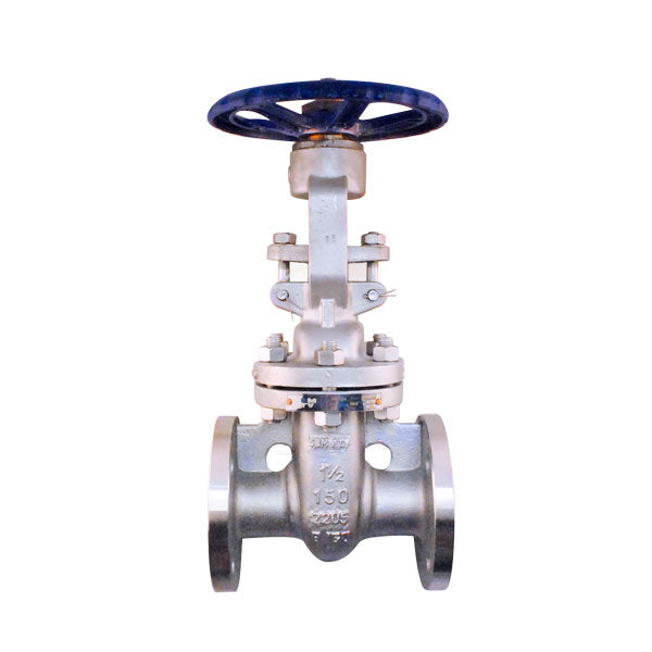 Válvula de compuerta PTV Duplex2205, brida #150, diseñada para aplicaciones industriales con alta resistencia a la corrosión y control de flujo