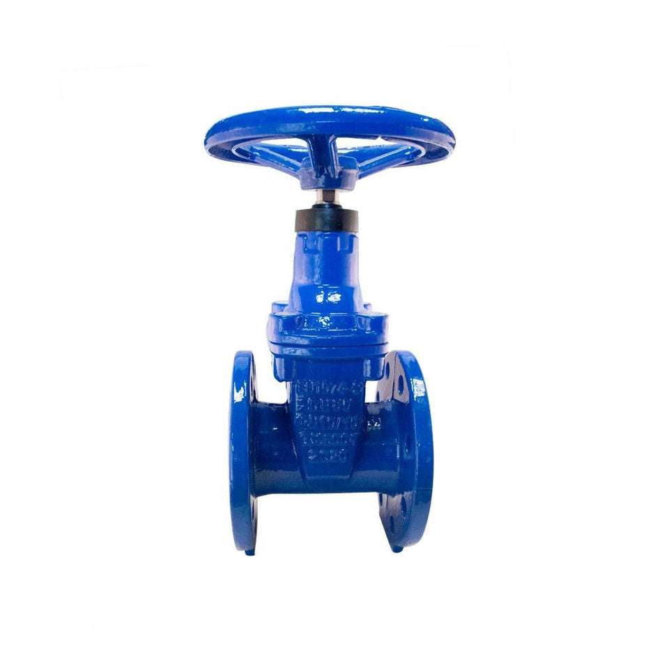 Válvula de compuerta PTV elastomérica, brida PN10, ideal para aplicaciones industriales con control de flujo y resistencia al desgaste.