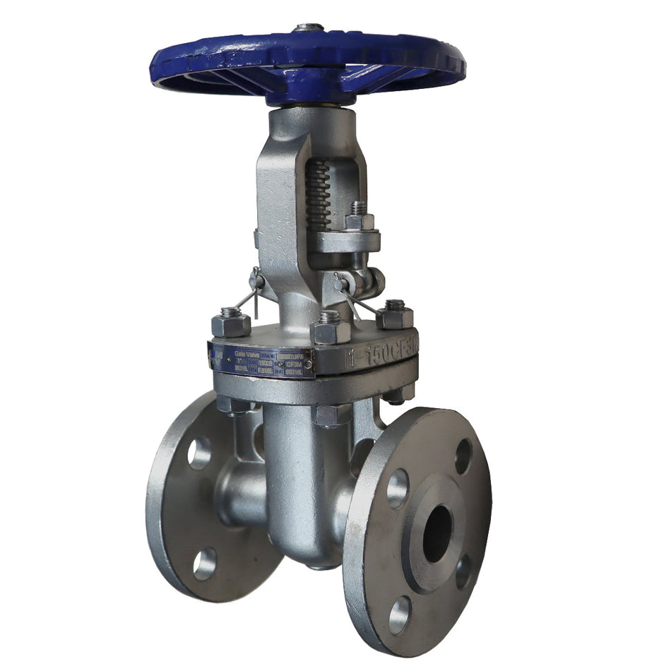Válvula de compuerta PTV SS316L/Trim SS316L, brida #150, diseñada para aplicaciones industriales con alta resistencia a la corrosión y control de flujo
