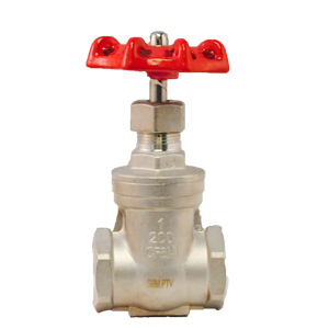 Válvula de compuerta PTV SS316/SS316, clasificada para 200 PSI NPT, ideal para aplicaciones industriales con control de flujo y alta resistencia a la corrosión.