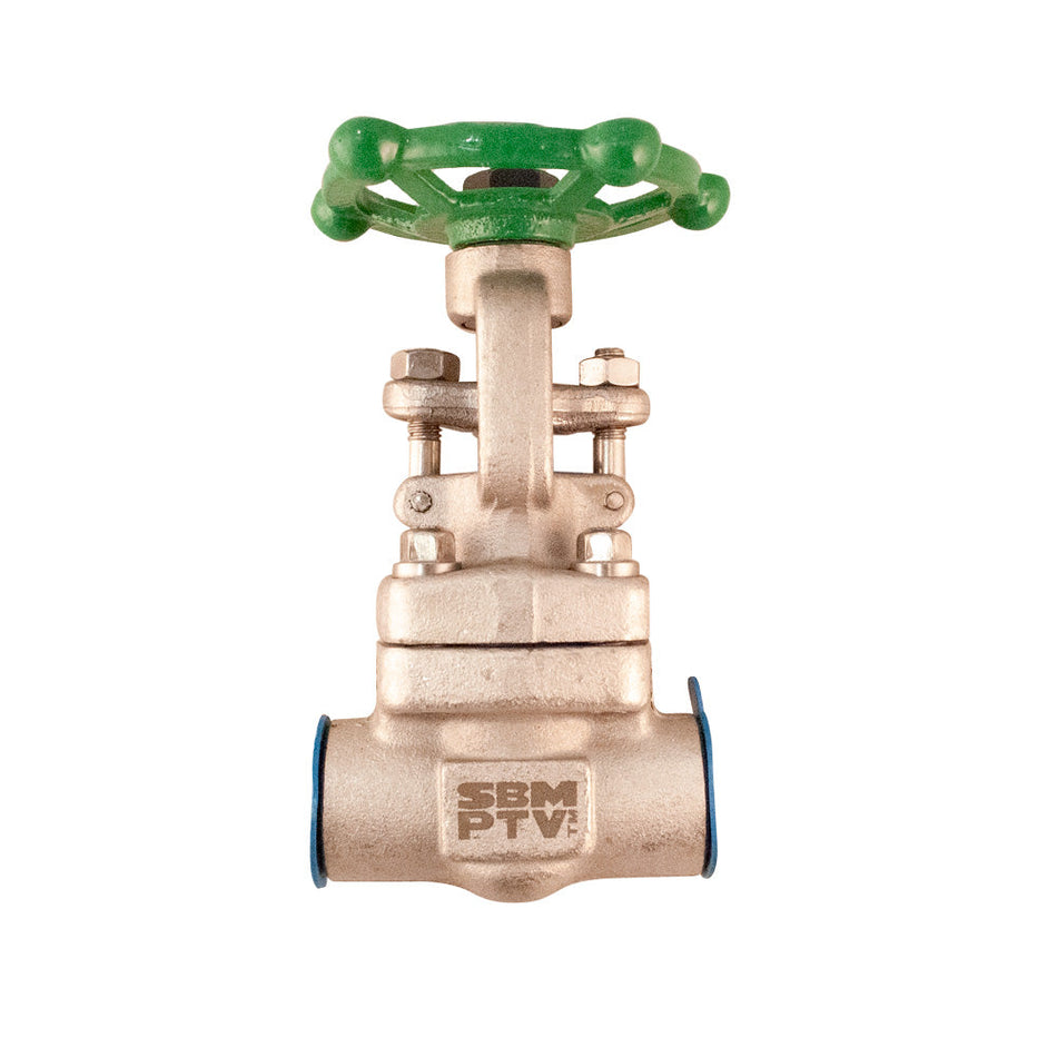 Válvula de compuerta PTV SS316/SS316, clase #800 NPT, diseñada para aplicaciones industriales de alta presión con control de flujo y resistencia a la corrosión.