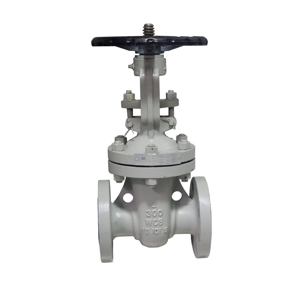 Válvula de compuerta PTV WCB/Trim 8, brida #300, ideal para aplicaciones industriales de alta presión con control de flujo y alta resistencia