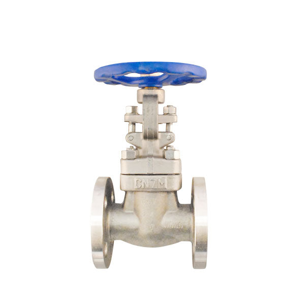 Válvula de compuerta Weidouli Alloy20, brida #150, diseñada para aplicaciones industriales con alta resistencia a la corrosión y control de flujo