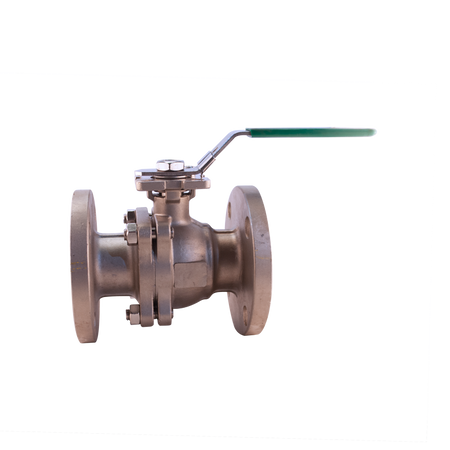 BOLA YIN-PTV SS316/RPTFE FLANGE #150 - Provaltec