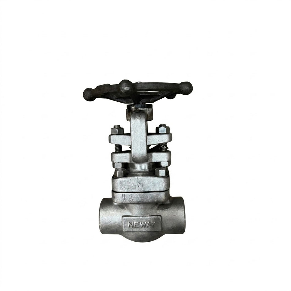 COMPUERTA NEWAY SS316/TRIM 10 #800 NPT
