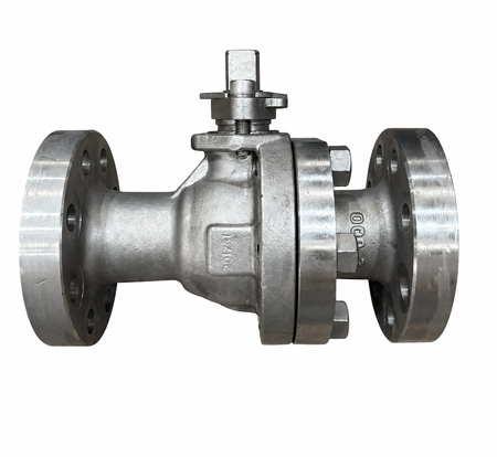 BOLA DIERSTE 316/SS316/RTFE FL #600