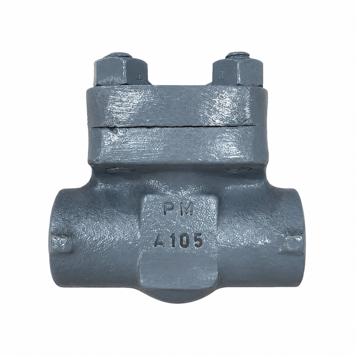 LIFT CHECK DALSONS A105/TRIM 8 NPT #800