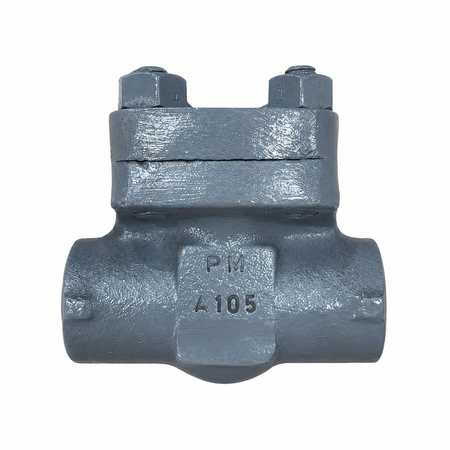 LIFT CHECK DALSONS A105/TRIM 8 NPT #800