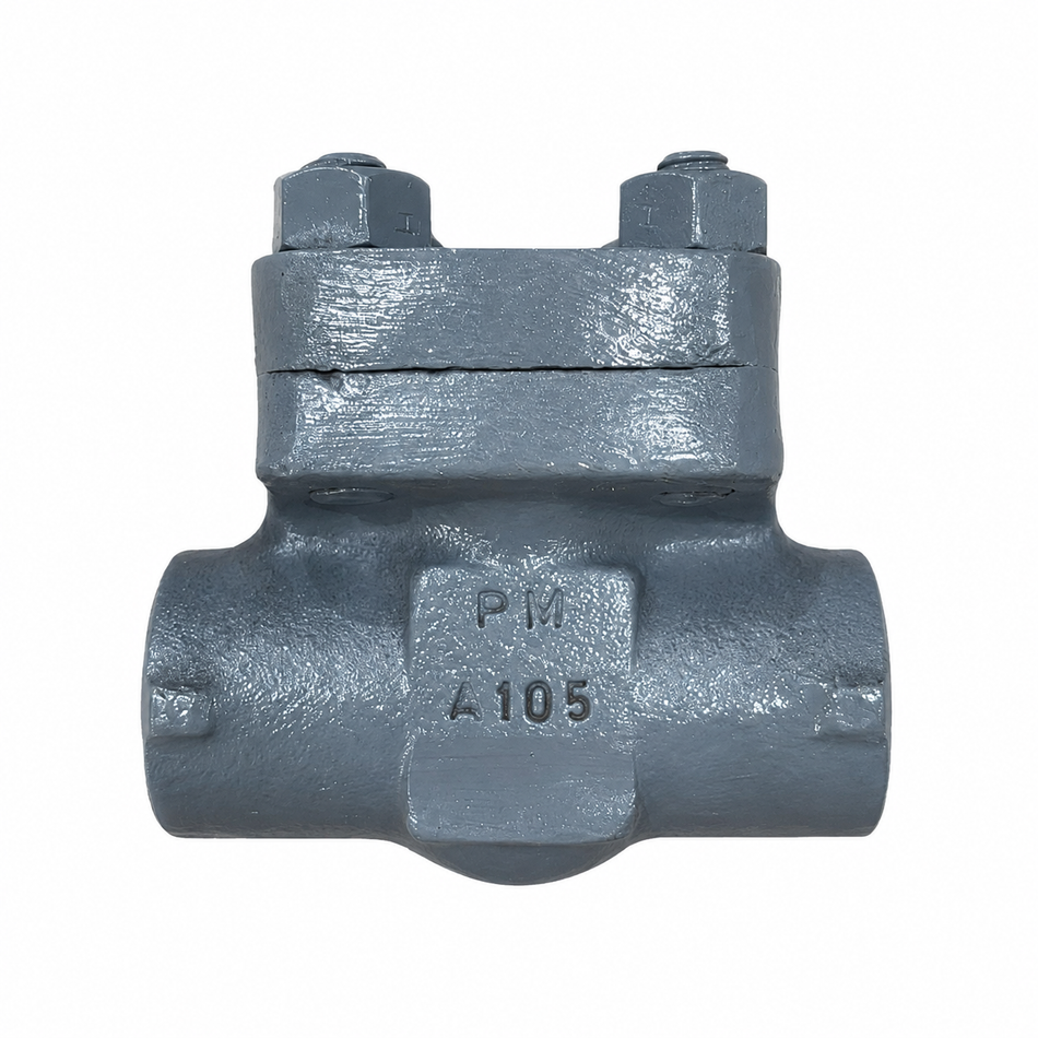 LIFT CHECK DALSONS A105/TRIM 8 NPT #800