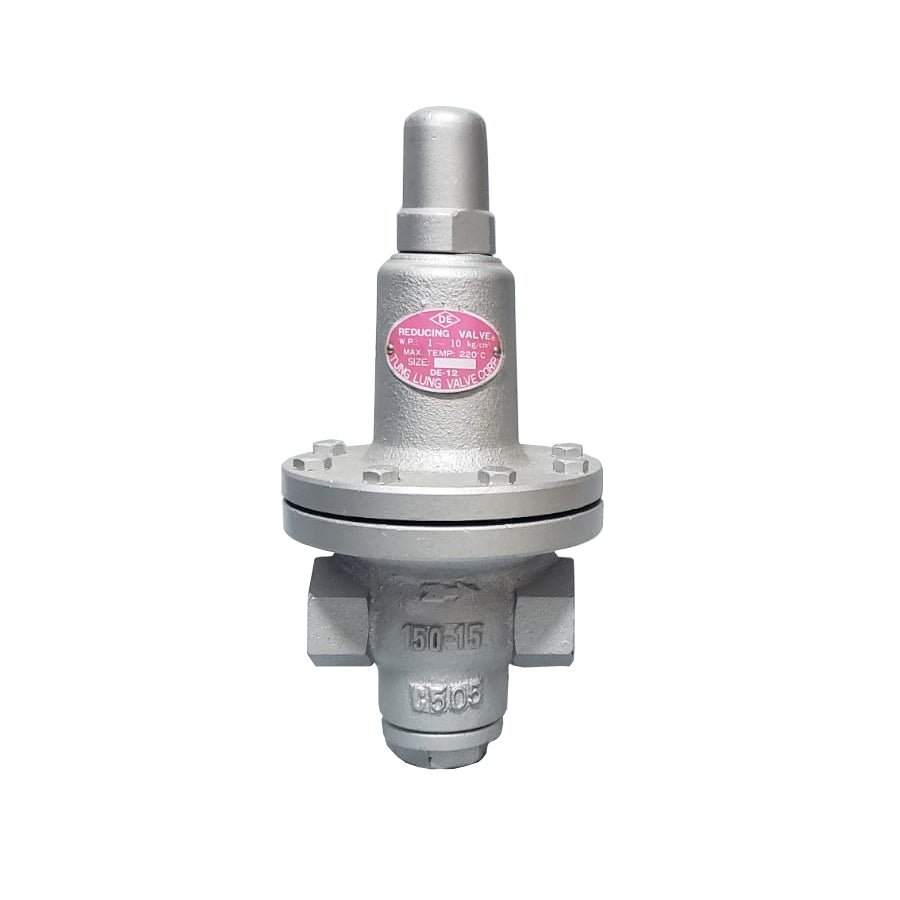 REDUCTORA DIERSTE FIGURA DE13-NPT