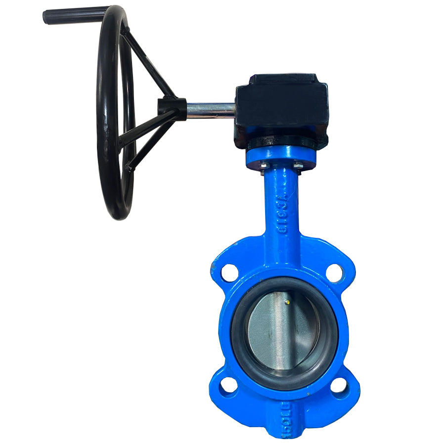 WAFER DIERSTE DI/SS316/VITON 228PSI