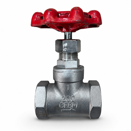 GLOBO DIERSTE SS316/SS316 NPT #200PSI