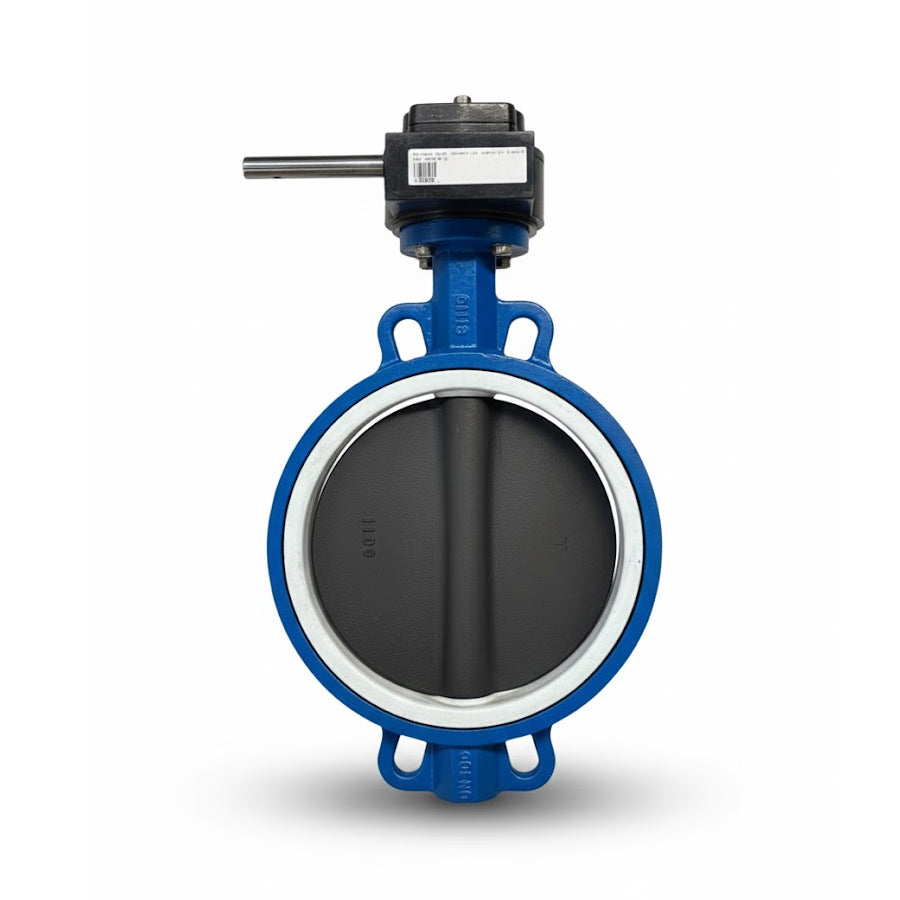 WAFER DIERSTE DI/DI REV. PTFE #165PSI