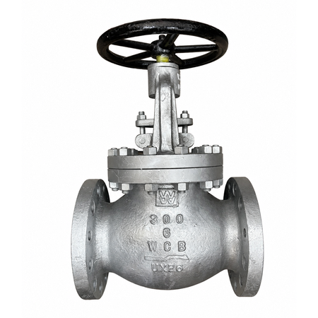 GLOBO WILLIAMS DALSONS WCB/TRIM 8 FL #300