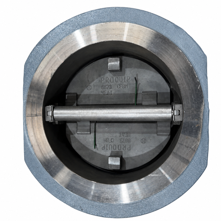 DUO CHECK PROQUIF WCB/SS316/VITON #300