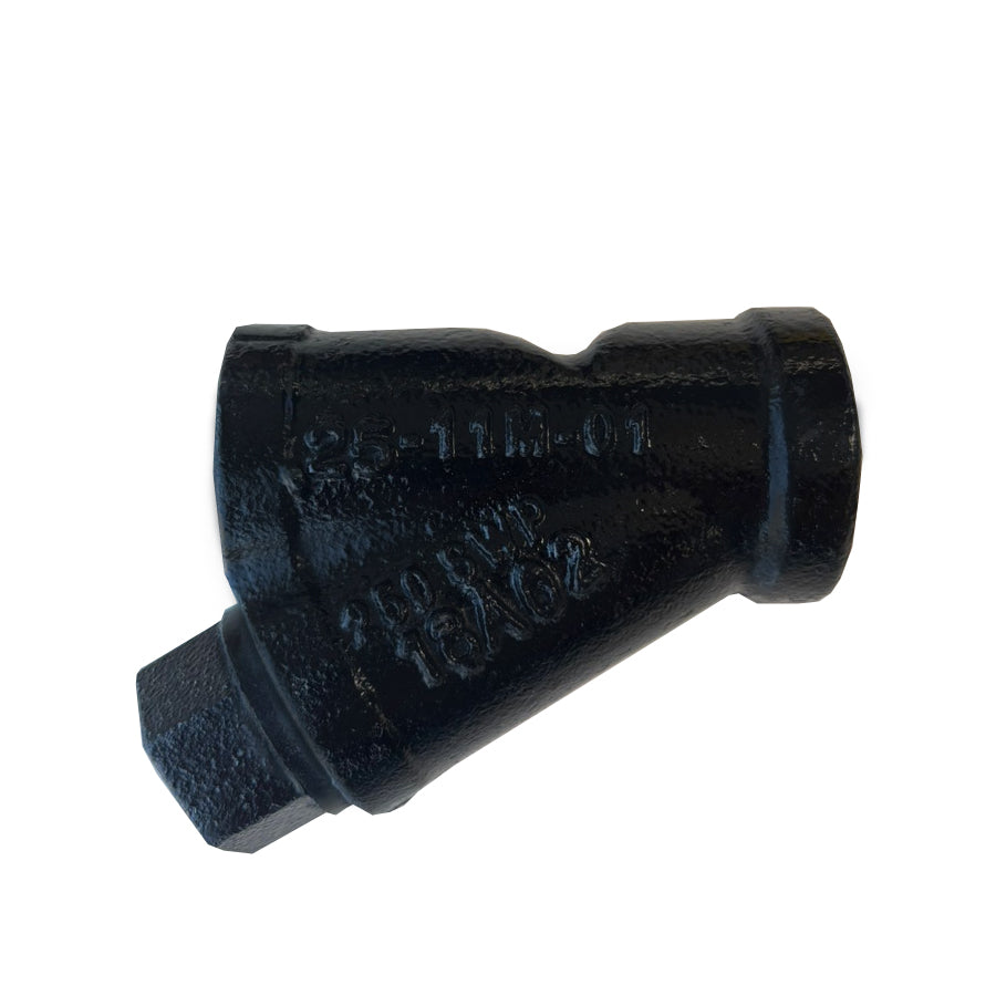 FILTRO Y MUELLER C. IRON/SS316 NPT #250