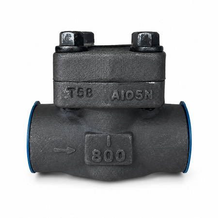 LIFT CHECK DIERSTE A105/TRIM 8 NPT #800