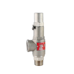 Válvula de alivio Dierste con cuerpo y trim SS316, 1.500PSI NPT, diseñada para controlar la presión en sistemas industriales de alta resistencia