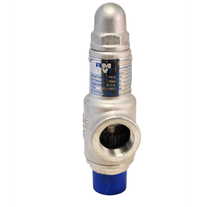 Válvula de alivio PTV con cuerpo y trim SS316L, 10 BAR NPT, ideal para aplicaciones industriales que requieren alta resistencia y control de presión