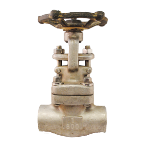 Válvula de compuerta Dierste SS316/Trim 10, clase #800 SW, diseñada para aplicaciones industriales de alta presión con control de flujo y resistencia a la corrosión.