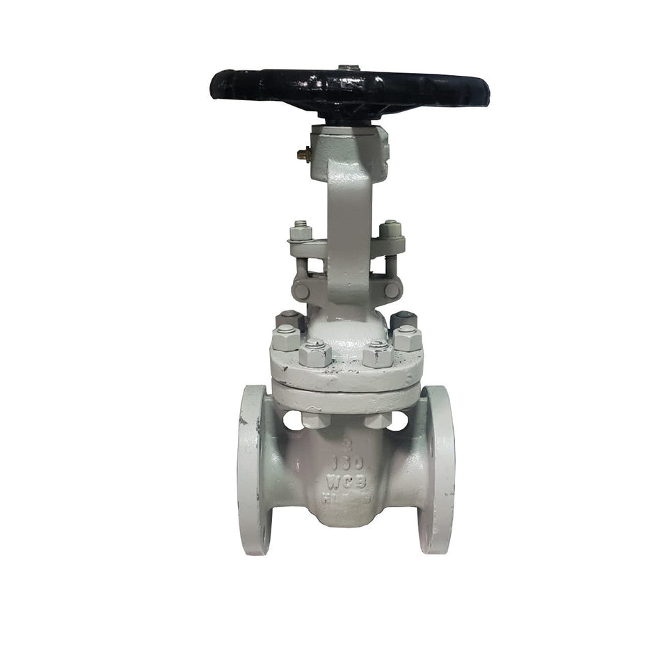Válvula de compuerta PTV WCB/Trim 8, brida #150, ideal para aplicaciones industriales con control de flujo y alta resistencia