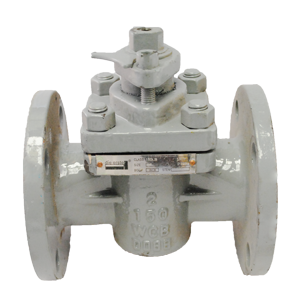 Cono sleeve Dierste WCB/PTFE con brida #150, ideal para aplicaciones industriales que requieren resistencia y control de flujo.