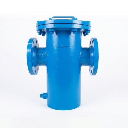 Filtro Canasto Dierste, Cuerpo WCB, Canasto SS316, Malla SS316 Mesh 60, #150, Flanges 150RF, Medida 4