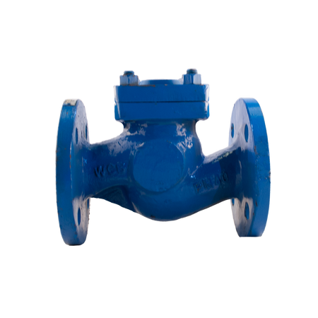 Válvula de retención tipo Lift Check Dalsons DI/SS410, brida #PN40, ideal para aplicaciones industriales de alta presión y control de flujo.