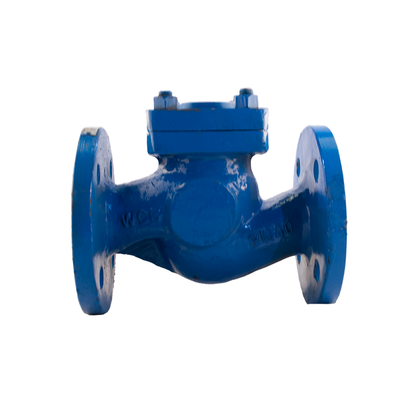 Válvula de retención tipo Lift Check Dalsons DI/SS410, brida #PN40, ideal para aplicaciones industriales de alta presión y control de flujo.