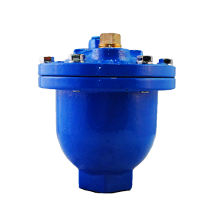 Válvula de retención simple Dierste GG25/SS304, con roscas NPT, clasificada para PN16, ideal para aplicaciones industriales con control de flujo y resistencia a la corrosión.
