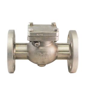 Válvula de retención Swing Check Dierste SS316/Trim 10, brida #300, ideal para aplicaciones industriales con alta resistencia a la corrosión y control de flujo.