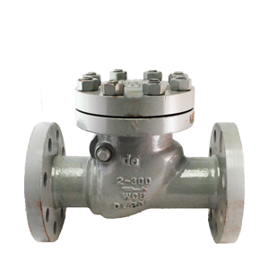 Válvula de retención Swing Check Dierste WCB/Trim 8, brida #300, diseñada para aplicaciones industriales con control de flujo y alta durabilidad
