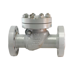 Válvula de retención Swing Check Dierste WCB/Trim 8, brida #600, ideal para aplicaciones industriales con alta resistencia y control de flujo.